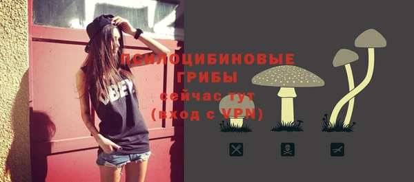 ешки Кукмор