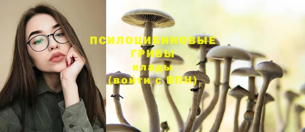 шишки Кулебаки