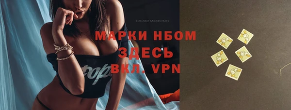 шишки Кулебаки