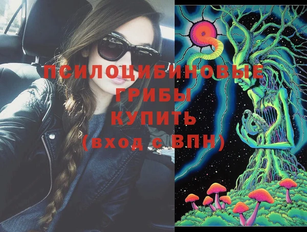 ешки Кукмор