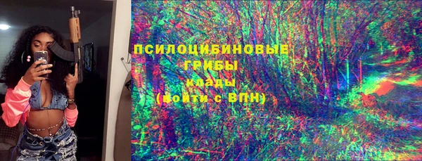 PSILOCYBIN Надым