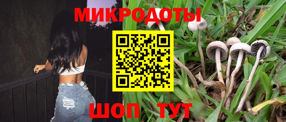 Псилоцибиновые грибы Psilocybine cubensis  Вход с VPN  Первоуральск 